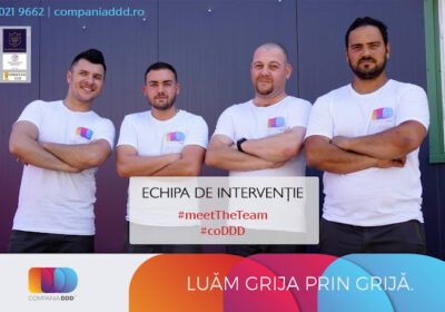 Dezinsecție eficientă împotriva plosnitelor: soluții garantate de Compania DDD®