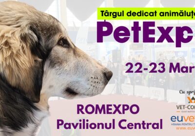 Rasele românești de câini, vedetele PetExpo 2025, la ROMEXPO