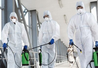 Soluții eficiente de atac pentru firmele de deratizare cum să alegi și să optimizezi serv