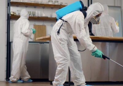 Soluții eficiente pentru combaterea dăunătorilor: Serviciile oferite de o firmă de deratizare profesionistă