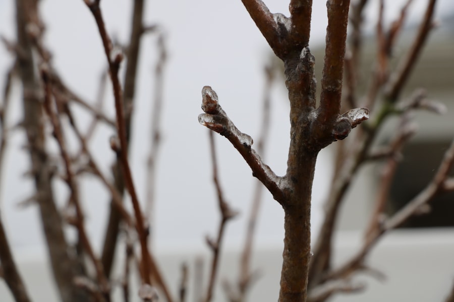 temperature fluctuations