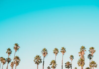 Cum să verifici nivelul antigelului