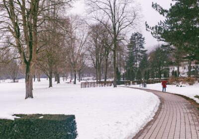 De ce temperaturile bruște afectează mașinile