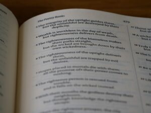 Photo reviziile periodice