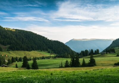 Cum să alegi mașina potrivită pentru familie