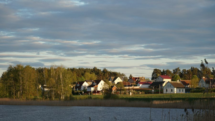 pilotaj in raliuri