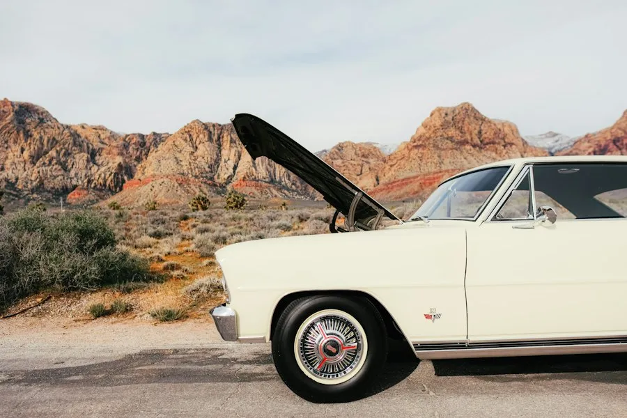 Photo car history check guide