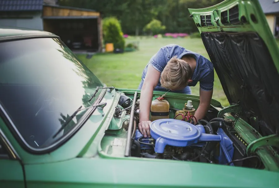 car history check mistakes